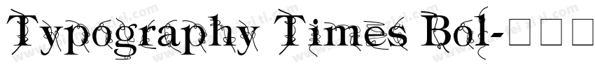 Typography Times Bol字体转换